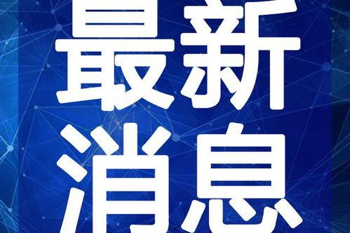 帅舅舅爆料视频大全最新,视频大全背后的惊人真相